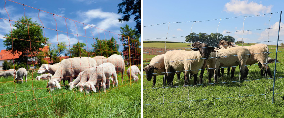 Blog-ohradnikove-site-pro-ovce-3